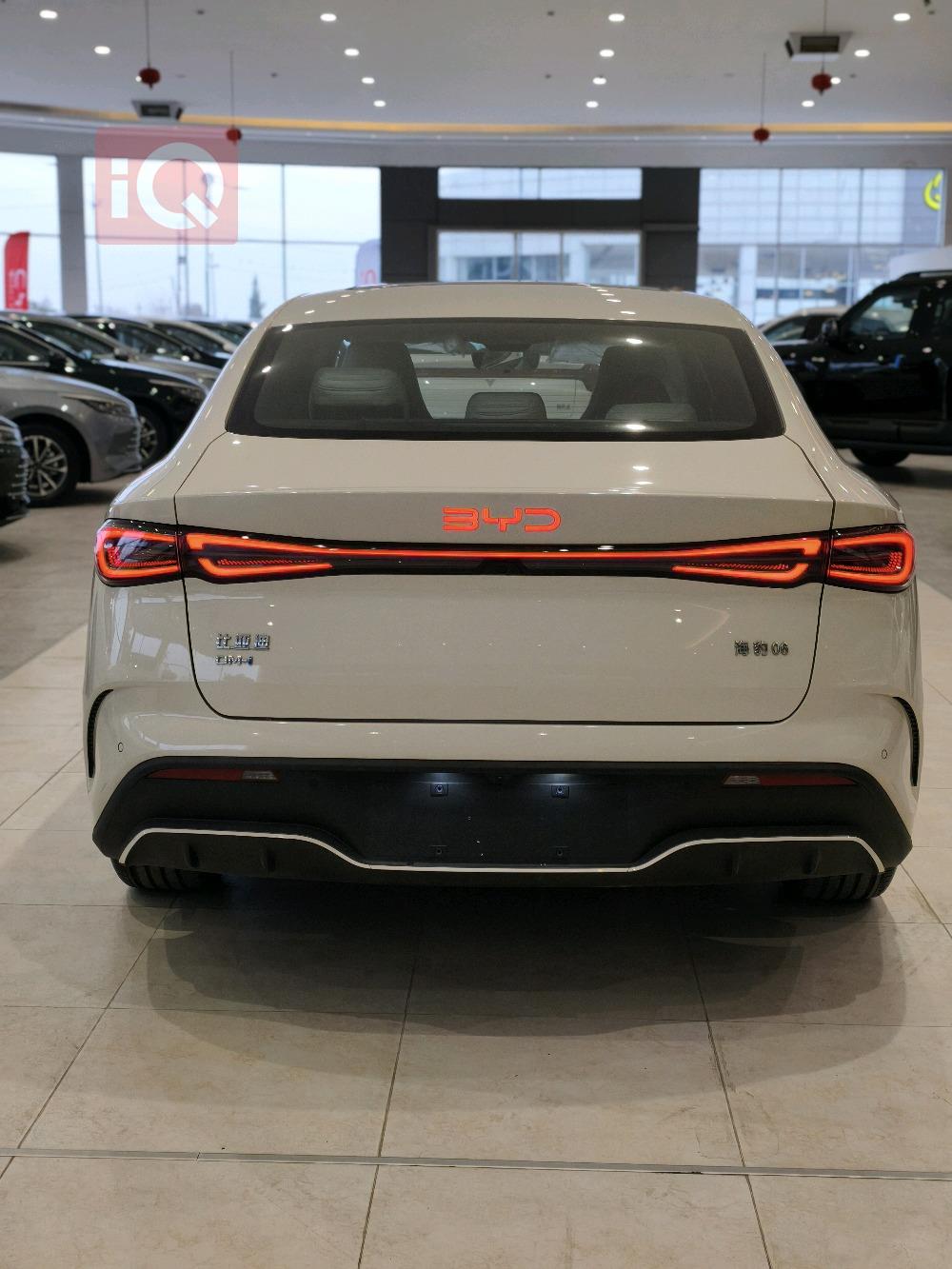 بي واي دي سيل 06 DM-i